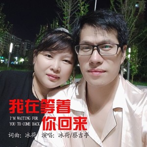 我在等着你回来 (DJ版)