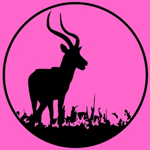 A. K. (Original Mix)