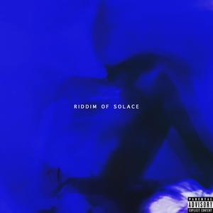 Riddim of Solace (feat. NSV & Troms) [Explicit]