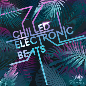 Chilled Electronic Beats