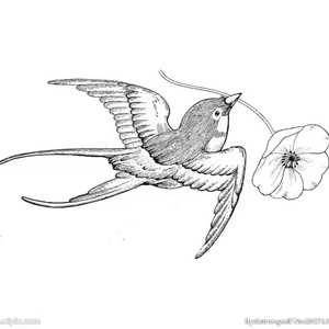 教堂的白鸽不会亲吻乌鸦