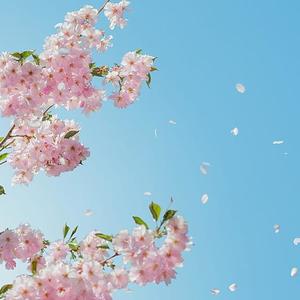 Draugi Freestyle (Explicit)