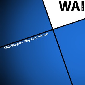 Why Cant We See (Original Mix)