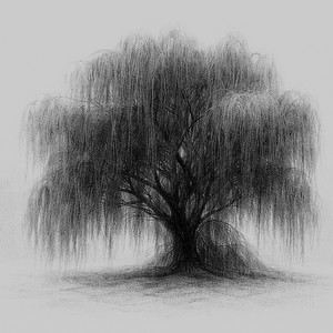 Female Energy, Part 2