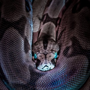 udiggwhatimsayin(feat. apo) (Explicit)