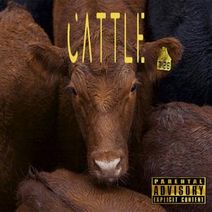 Cattle (Explicit)