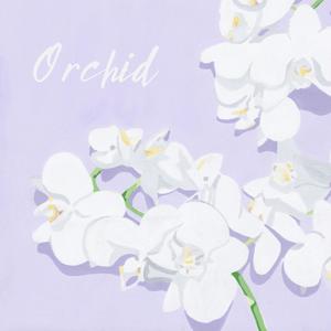 Orchid