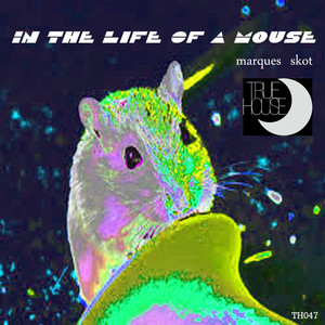 In The Life Of A Mouse