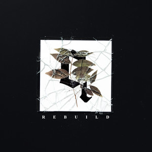 Rebuild