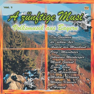 A zünftige Musi - Volksmusik aus Bayern Volume 1