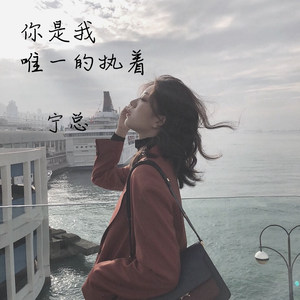 沈城风情 (DJ版)