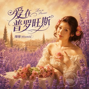 爱在普罗旺斯 (Love in Provence)