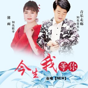 今生我等你