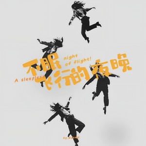 不眠飞行的夜晚封面