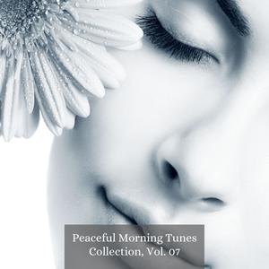 Peaceful Morning Tunes Collection, Vol. 07