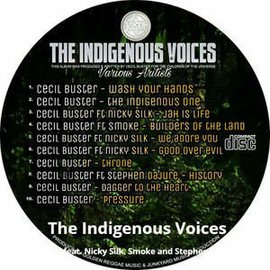 The Indigenous Voices