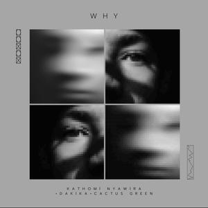 Why (feat. Cactus Green & Dakika Official)