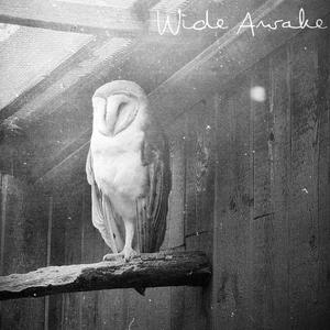 Wide Awake (Explicit)