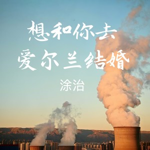 涂治 - 想和你去爱尔兰结婚 (伴奏)