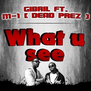 What You See (Explicit)