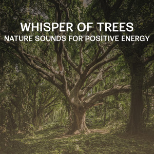 Beautiful Garden Sounds