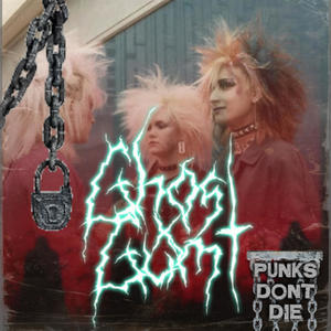 PUNKS NEVER DIE