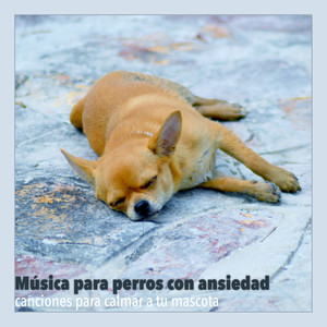 Cachorro Feliz