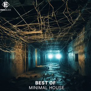 Best Of Minimal House