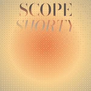 Electronics Flamenco