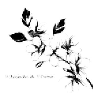 VESTIDADENOVIA (Explicit)