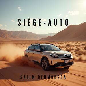 Siège auto