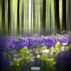 Vallée (Location) feat. (Nusty) (Explicit)