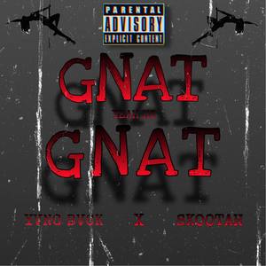 GNAT GNAT (Explicit)