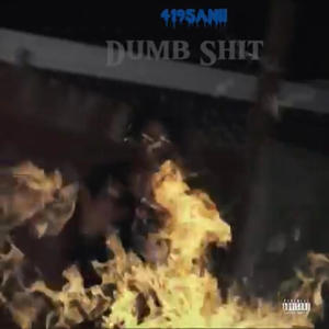 Dumb **** (Explicit)
