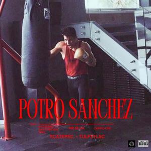 Potro Sanchez (feat. Carpio One & Mr Silva) [Explicit]