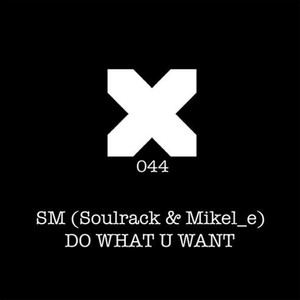 Do What You Want (1995 Mix)