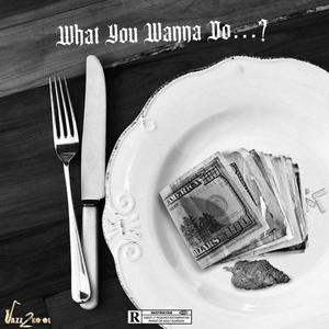 What You Wanna Do (Explicit)