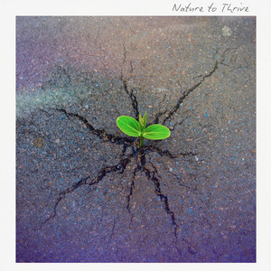 Nature to Thrive