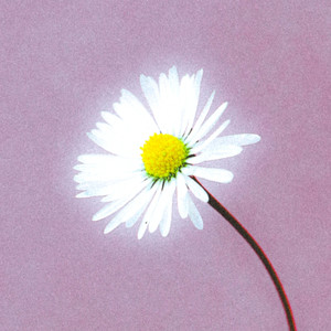 GANITO NALANG (Explicit)