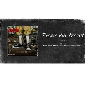 Poezie din trecut (feat. DJ Soter)