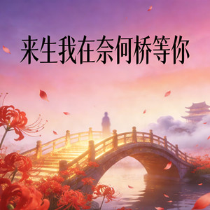 来生我在奈何桥等你