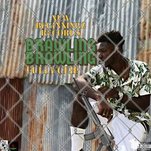 BRAWLING BRAWLING (official audio)