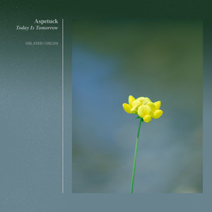 Echolocation (Original Mix)