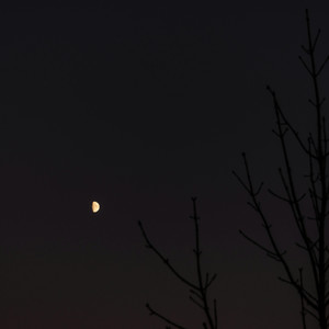 心中的痛 (我想忘可是怎么忘得掉)