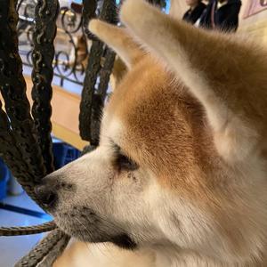 每一天都在发生的事