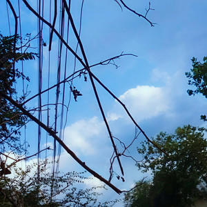 黑凤梨 · 抒情版Remix