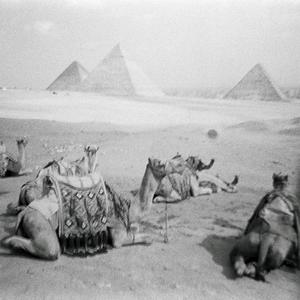 شكراً (shukran) (feat. Coyote 1_Or_Eye_On)