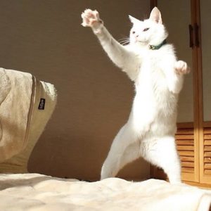 你朝我的方向走来 吉他版