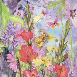 Voice of the Wilderness