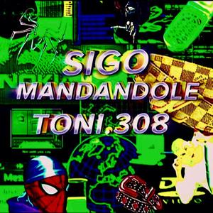 SIGO MANDANDOLE MIXTAPE (Explicit)